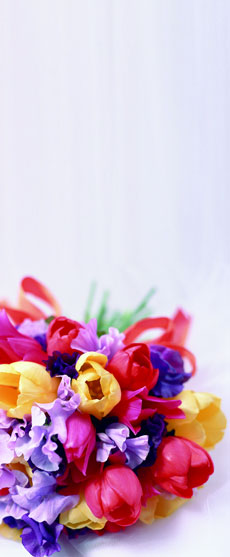 Home Page Image